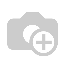 演示 Logo